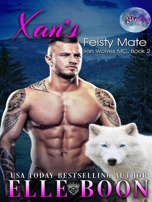 Cover image for Xan's Feisty Mate
